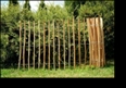 Staketenabstand 3 - 4cm x 5m Lnge