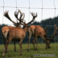 Knotengeflecht verzinkt 2,0 x 50m / 17 Querdrhte
