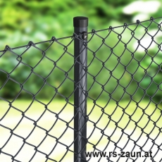 Maschendraht anthrazit 55 x 55 x 2,5mm/15m